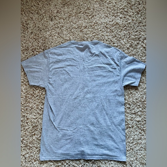 Men Fruit Of The Loom Gray Mountain View Thunder T-Shirt Size M - Picture 10 of 10